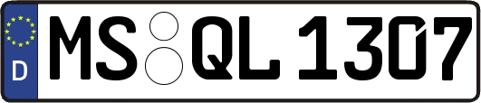 MS-QL1307