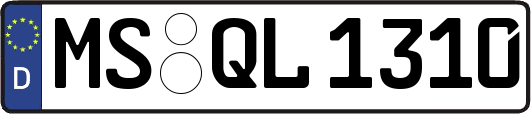 MS-QL1310