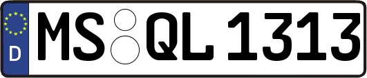 MS-QL1313