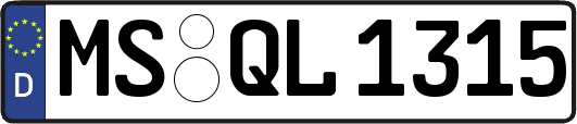 MS-QL1315