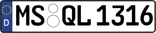 MS-QL1316
