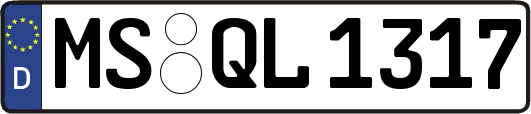 MS-QL1317