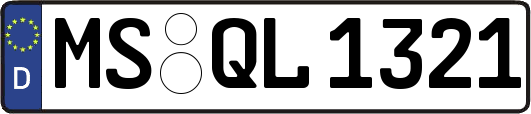MS-QL1321
