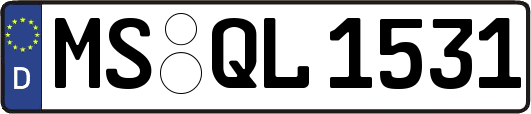 MS-QL1531