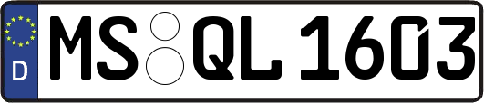 MS-QL1603