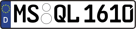 MS-QL1610