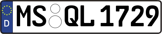 MS-QL1729