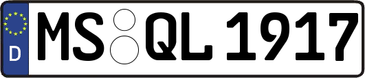 MS-QL1917