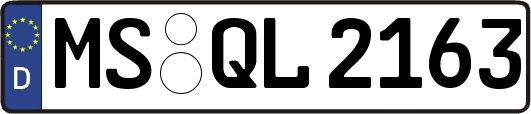 MS-QL2163