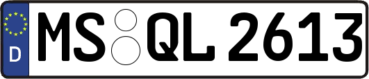 MS-QL2613