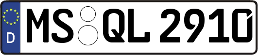MS-QL2910