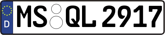 MS-QL2917