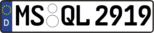 MS-QL2919