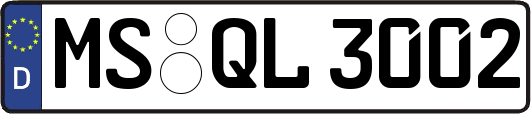 MS-QL3002