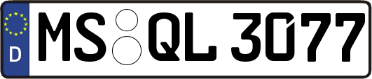 MS-QL3077