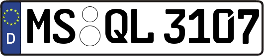 MS-QL3107