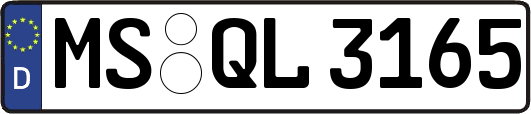 MS-QL3165