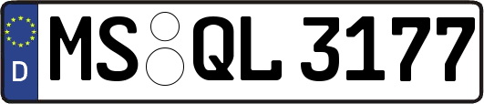MS-QL3177