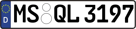 MS-QL3197