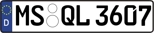MS-QL3607