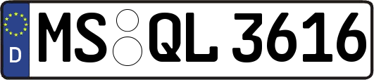 MS-QL3616