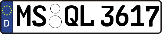 MS-QL3617