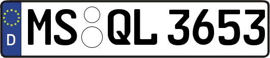 MS-QL3653
