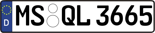 MS-QL3665