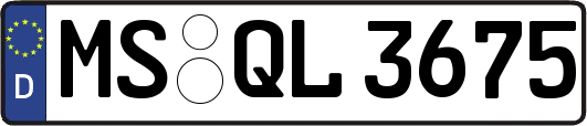 MS-QL3675