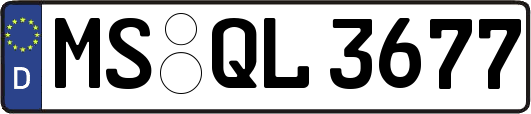 MS-QL3677
