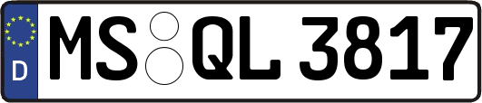MS-QL3817