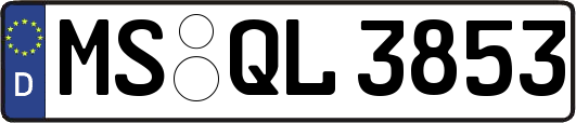 MS-QL3853