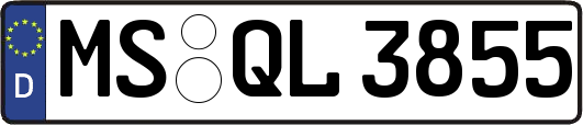 MS-QL3855