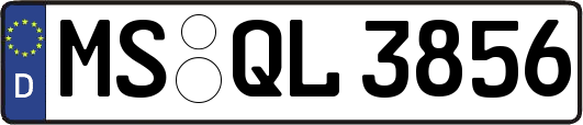 MS-QL3856