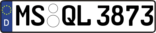 MS-QL3873
