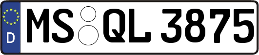 MS-QL3875