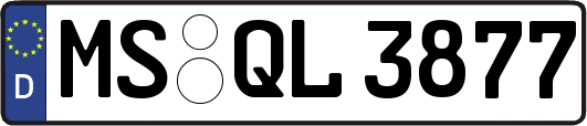 MS-QL3877