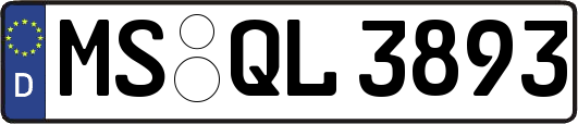 MS-QL3893