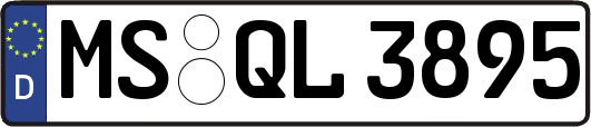 MS-QL3895
