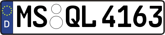 MS-QL4163