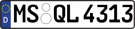 MS-QL4313