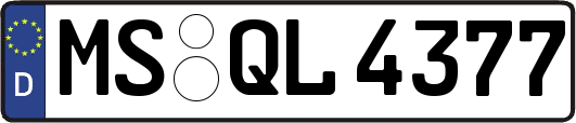 MS-QL4377