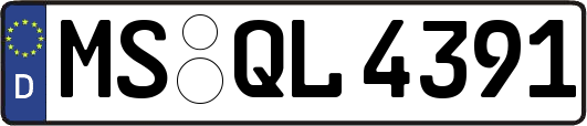 MS-QL4391