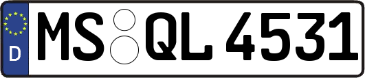 MS-QL4531