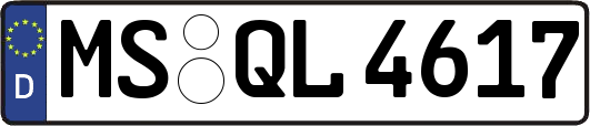MS-QL4617