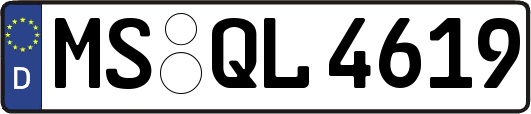 MS-QL4619