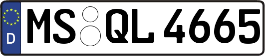 MS-QL4665