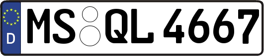 MS-QL4667