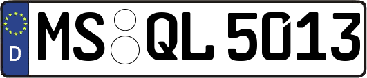 MS-QL5013
