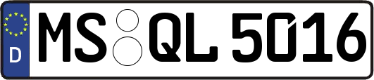 MS-QL5016